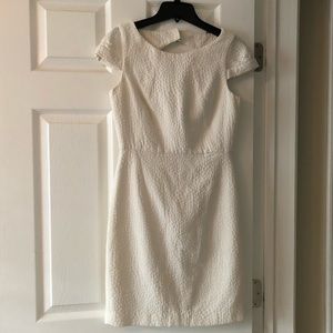 Women’s Calvin Klein Dress